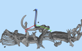 猛犸象零件细节图