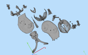 猛犸象三维细节图