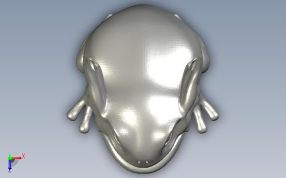 青蛙模型高精度俯视图