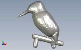 小翠鸟模型正视图