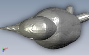 小翠鸟模型俯视图