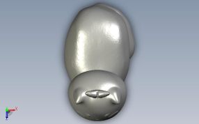 可爱的猫豆俯视图