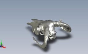 羊头骨头轴测图