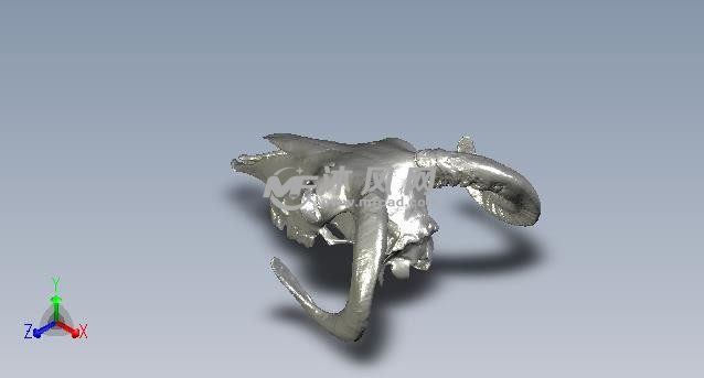 羊头骨头轴测图