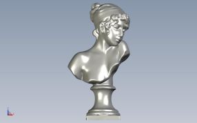 苏菲的头像正视图