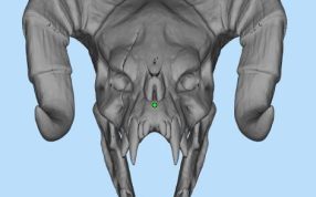 游戏角色头骨模型