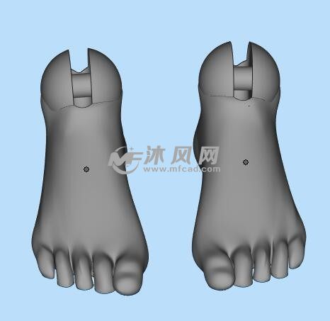 脚三维设计