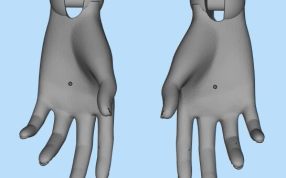手部模型图
