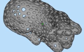 长颈鹿幼崽模型