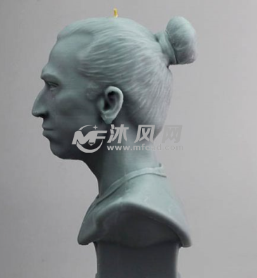 伊布拉希莫维奇侧视图