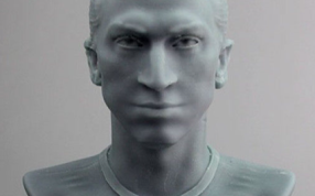 伊布拉希莫维奇正视着