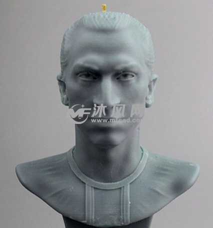 伊布拉希莫维奇正视着