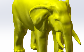 大象头部展示图