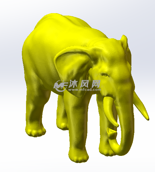 大象头部展示图