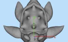 精灵宝可梦模型