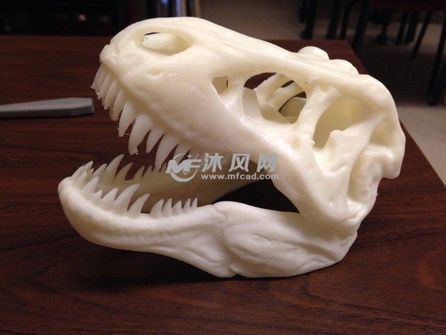 恐龙头骨成品图