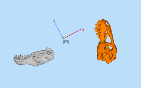 恐龙头骨全部零件