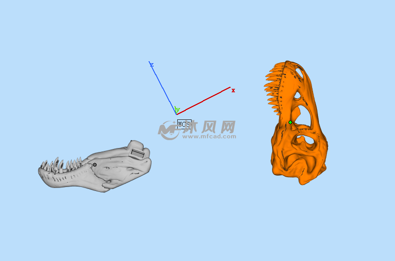 恐龙头骨全部零件