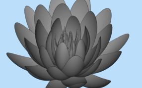 莲花三维模型