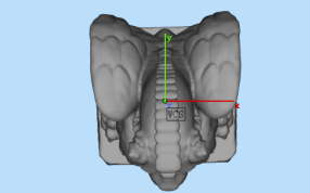 有翅膀的狗俯视图