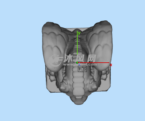 有翅膀的狗俯视图