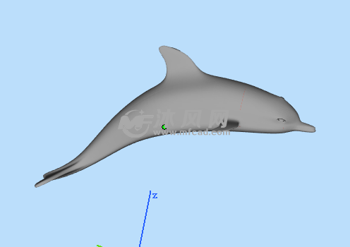 海洋生物三维设计