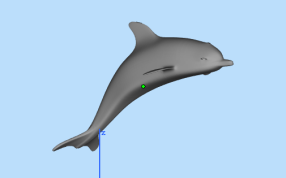 海豚斜视图