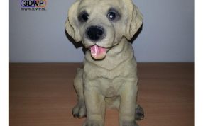 兰布拉多展示图