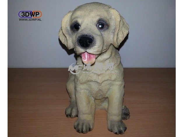 兰布拉多展示图