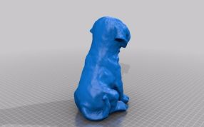 兰布拉多后视图