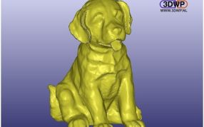 兰布拉多侧视图