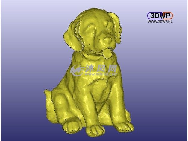 兰布拉多侧视图