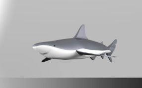 鲨鱼玩具模型