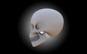 头骨渲染图左侧