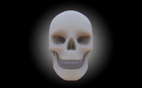 头骨渲染图正面