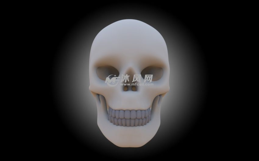 头骨渲染图正面