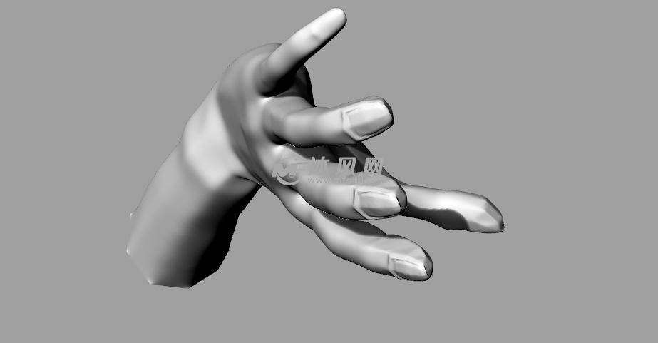 左手模型图