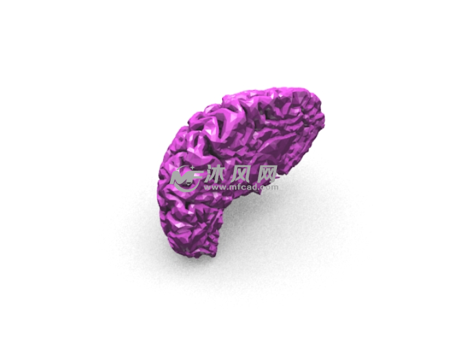 细致的人脑模型图