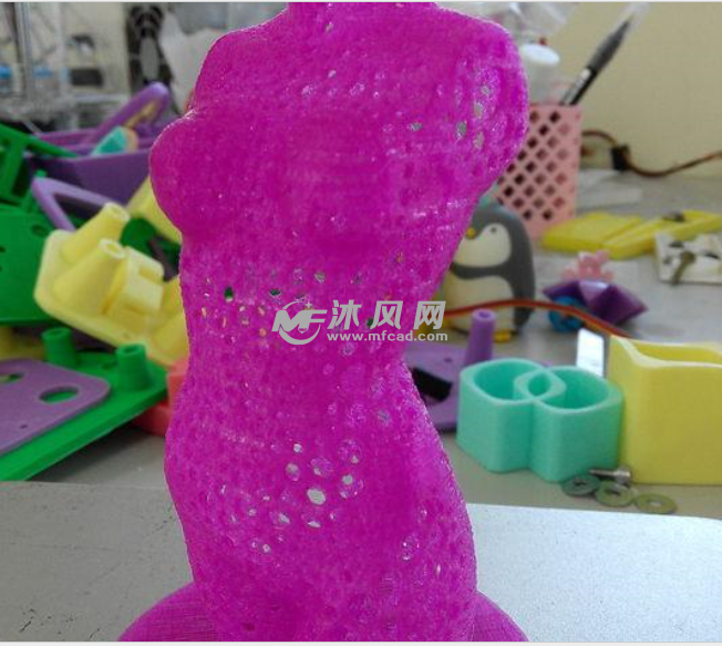 艺术的躯干模型图