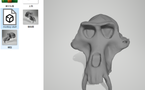 猴子头骨预览图