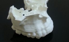人体的上颌骨模型