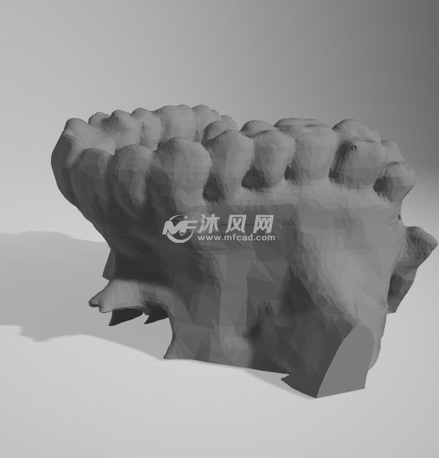 人体的上颌骨轴测图