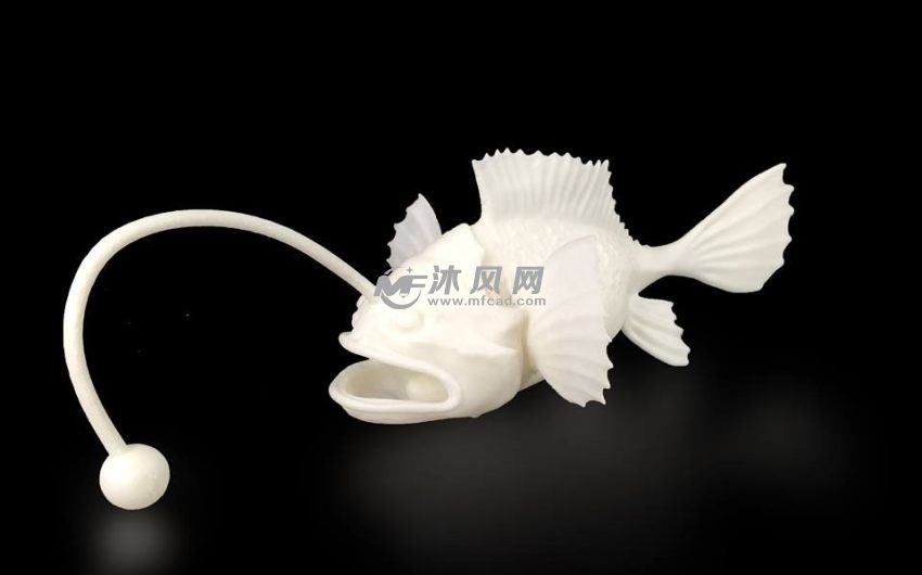 Angler fish-安康鱼