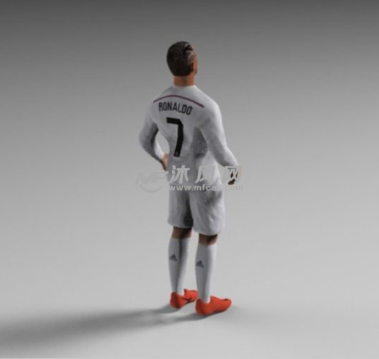 罗纳尔多后视图
