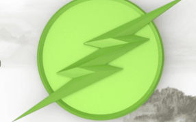 闪电胸章正视图