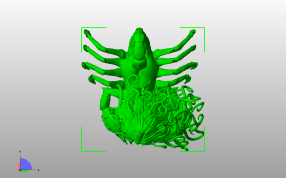 蝎子女孩模型俯视图