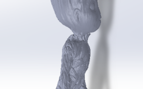 小树人格罗特侧视图