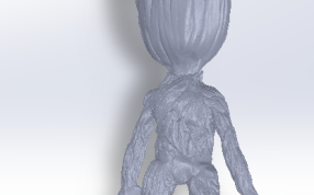 小树人格罗特后视图