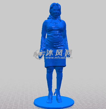 中年妇女正视图