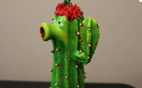 仙人掌花的侧视图